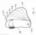 Fig. 16 - Shoe with an integrated storage module