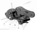 Fig. 01 - Excavator tool quick attachment device