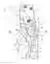 Fig. 02 - Manually pivoting grass collection box