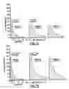 Fig. 14 - Combustion Engine