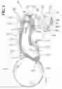 Fig. 06 - Exhaust structure for small watercraft