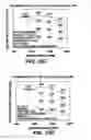 Fig. 20 - Flexible engine cooling and exhaust gas temperature controls for diesel after-treatment regeneration and engine performance improvement