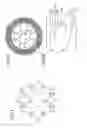 Fig. 04 - Combustor
