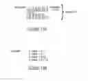 Fig. 13 - Apparatus and method for generating an encoded rhythmic pattern
