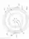 Fig. 03 - Pet drinking bowl