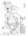 Fig. 03 - Apparatus for tented and protective relief station and method for use