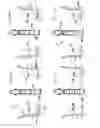 Fig. 03 - Rodeo release chute apparatus