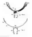 Fig. 09 - Hinged headbrace for front-mounted swimming snorkel