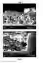 Fig. 04 - Photovoltaic solar cell and solar module