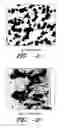 Fig. 02 - Copper precipitate carburized steels and related method