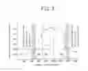 Fig. 03 - Pneumatic bias tire