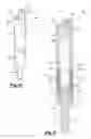 Fig. 10 - Entry swivel apparatus and method