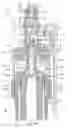 Fig. 40 - Fluid filtration system