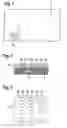 Fig. 02 - Valuable document comprising a security element and method for producing said valuable document