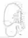 Fig. 02 - Gas deflector for an air-bag