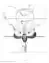 Fig. 12 - Bicycle saddle