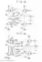 Fig. 06 - Flat panel display device