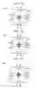 Fig. 09 - CONDENSER MICROPHONE