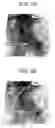 Fig. 08 - Fingerprint collation apparatus, fingerprint pattern area extracting apparatus and quality judging apparatus, and method and program of the same
