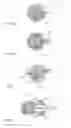 Fig. 02 - Optical structure