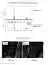 Fig. 02 - Method of using carbide and/or oxycarbide containing compositions