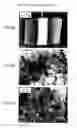 Fig. 07 - Method of using carbide and/or oxycarbide containing compositions