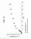 Fig. 09 - Intravesical drug delivery device