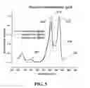 Fig. 06 - Novel fluorescent and colored proteins, and polynucleotides that encode these proteins