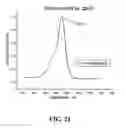 Fig. 22 - Novel fluorescent and colored proteins, and polynucleotides that encode these proteins