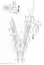 Fig. 02 - Multipurpose tool including holder for replaceable tool blades