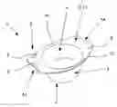 Fig. 01 - Dish