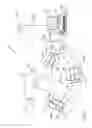 Fig. 05 - Localization of a radioactive source within a body of a subject