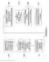 Fig. 17 - System and method for structured illumination and collection for improved optical confocality of raman fiber array spectral translator imaging and interactive raman probing