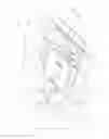 Fig. 28 - Rotary action draw latch