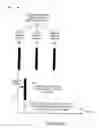 Fig. 07 - Communication methods and apparatus which may be used in the absence or presence of beacon signals