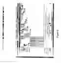 Fig. 06 - Use of roma for characterizing genomic rearrangements