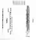 Fig. 08 - Use of roma for characterizing genomic rearrangements