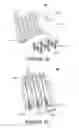 Fig. 02 - High-density orthogonal connector