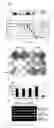 Fig. 02 - Txr1 and enhanced taxane sensitivity based on the modulation of a pathway mediated thereby