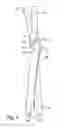 Fig. 04 - Wringer roller mop