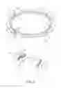 Fig. 03 - Guard ring applied to ion implantation equipment
