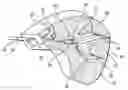 Fig. 01 - Simplified restraining tether system for use with a vehicle air bag system