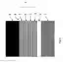 Fig. 07 - Organic electroluminescent element and manufacturing method of an organic electroluminescent element and a display