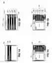 Fig. 10 - Methods and apparatus for providing notifications in a media system