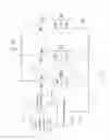 Fig. 03 - Apparatus for error compensation of self calibrating current source