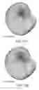 Fig. 17 - Low cost multiple pattern antenna for use with multiple receiver systems
