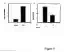 Fig. 06 - Methods and compositions for selectively killing cells