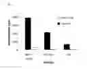 Fig. 02 - Method for Preparing Active Kinases Containing Ph Domains