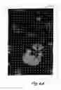 Fig. 06 - SCRUB PAD WITH PRINTED RIGID PLATES AND ASSOCIATED METHODS