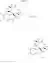 Fig. 17 - Spiroindolinone derivatives